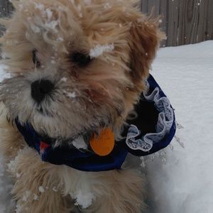 Meet your Posher, Jillian